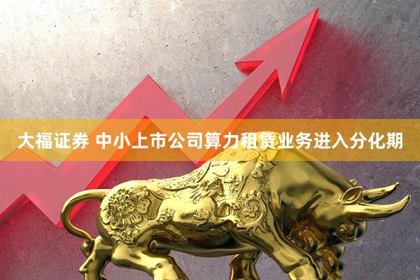 大福证券 中小上市公司算力租赁业务进入分化期